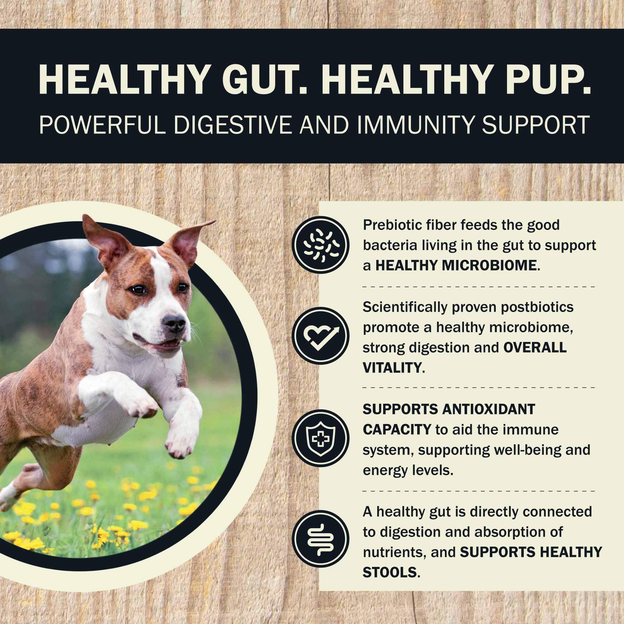 Air Dried Powerfood Digestive Health Chicken & Turkey Recipe - Image 5