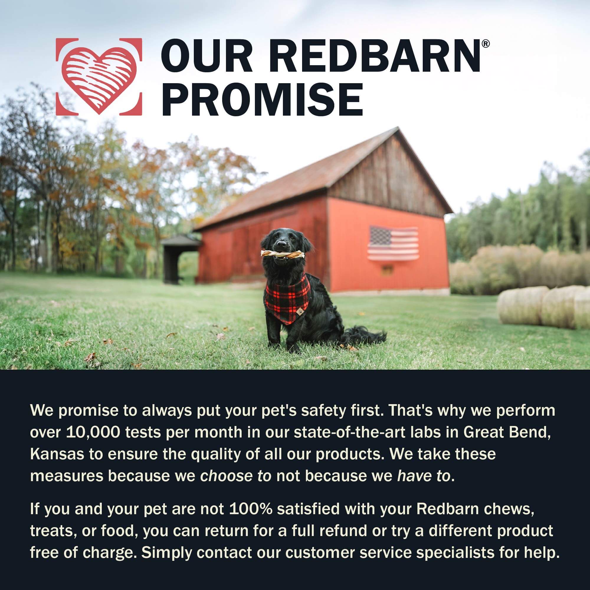 Air Dried Powerfood Healthy Puppy Beef & Lamb Recipe - Image 8