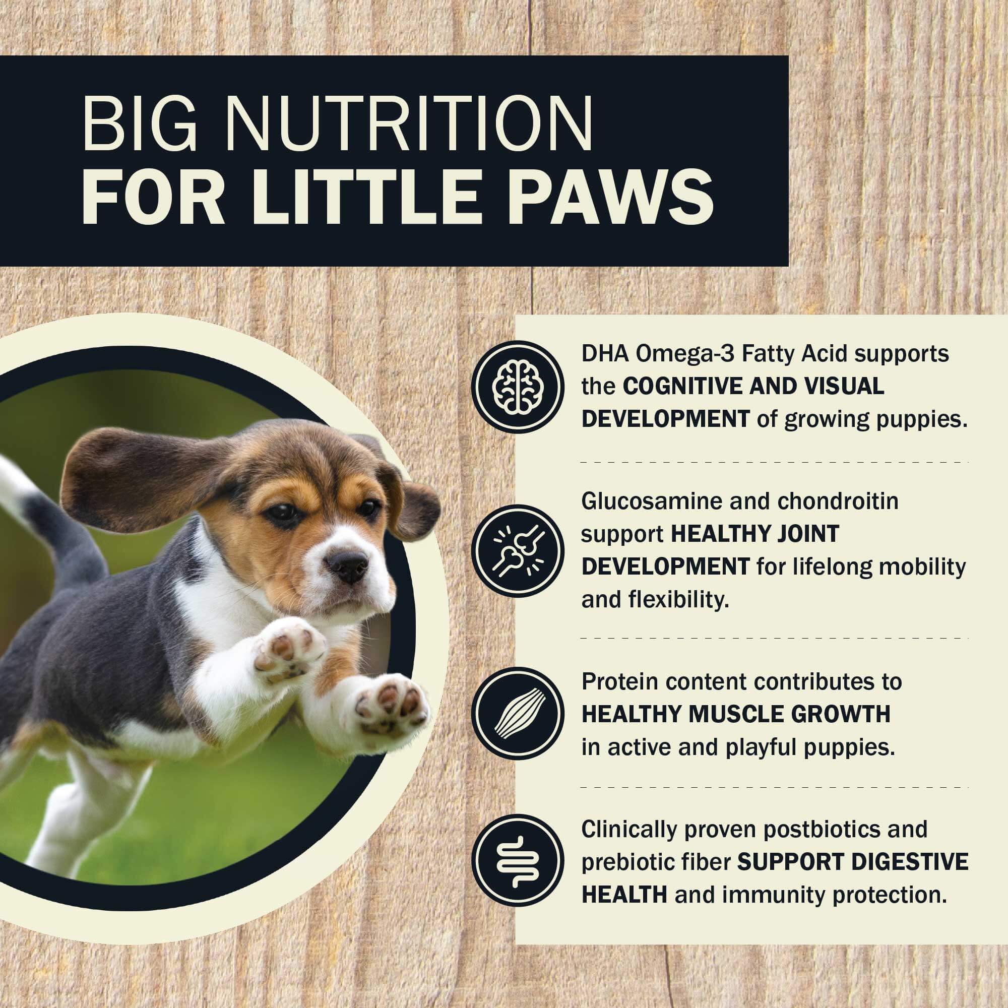 Air Dried Powerfood Healthy Puppy Chicken Recipe - Image 6