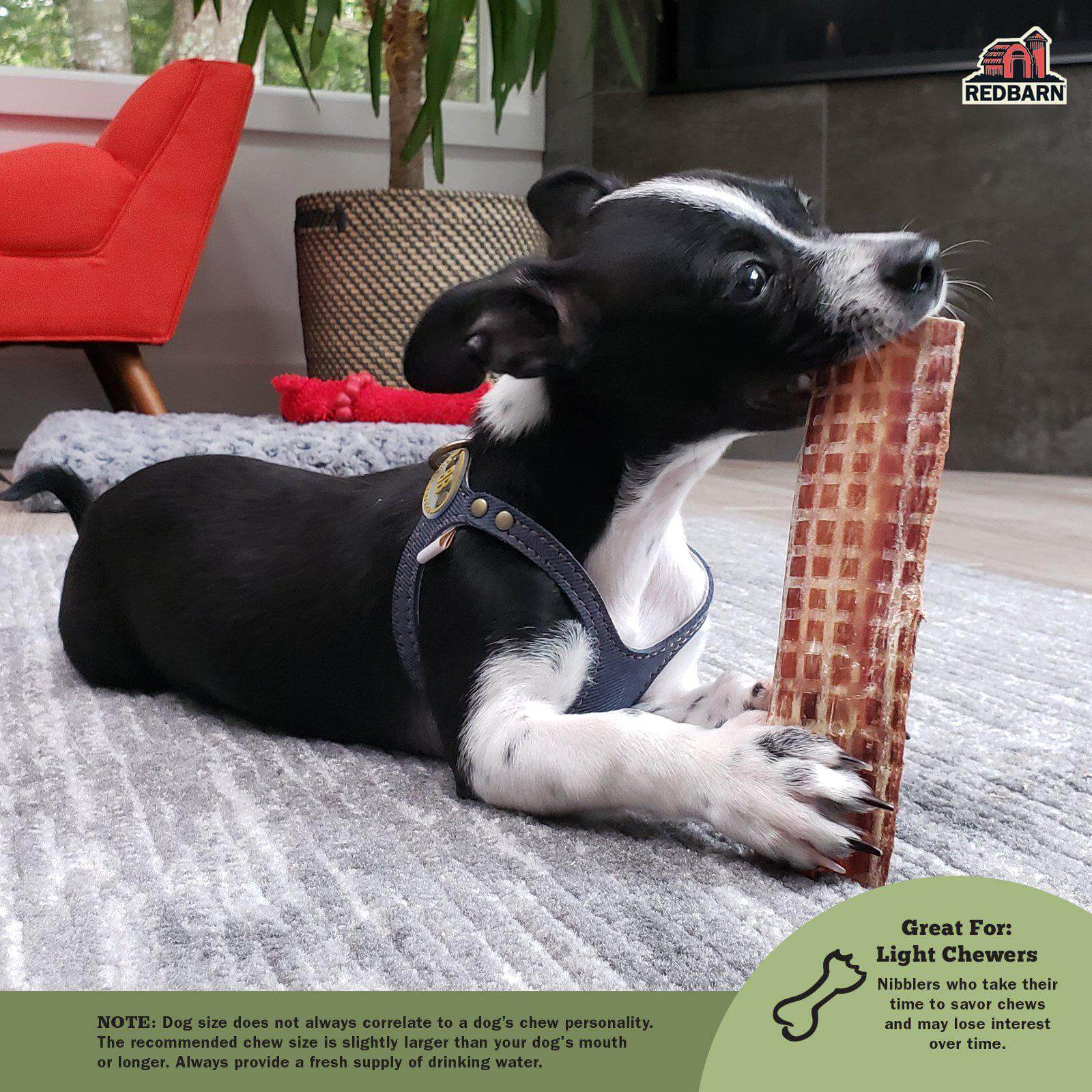 Beef Jerky - Image 6