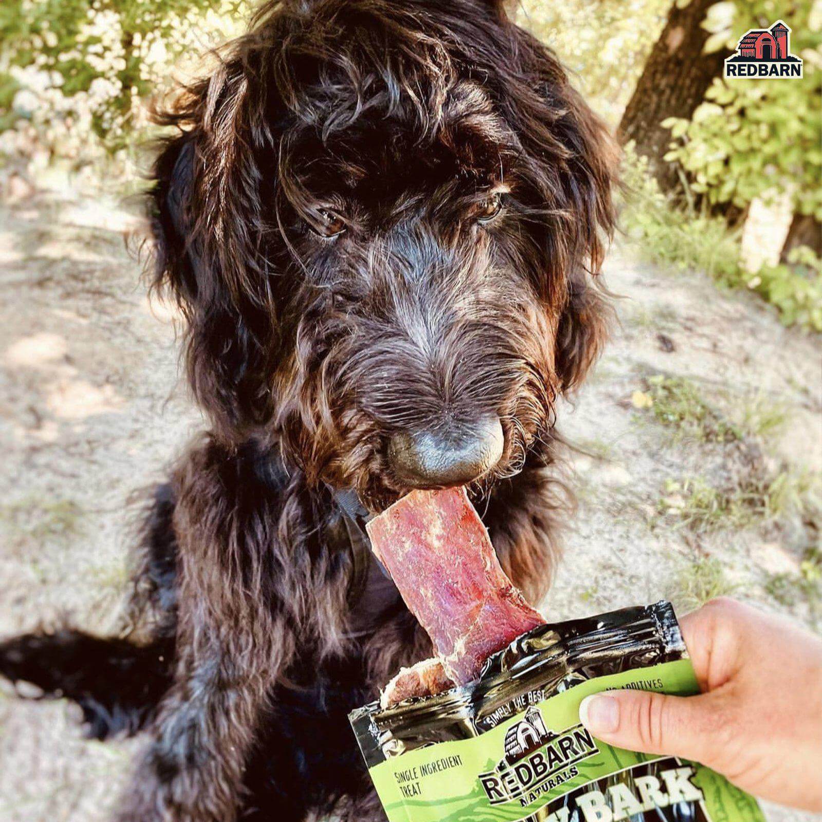 Beef Jerky - Image 7