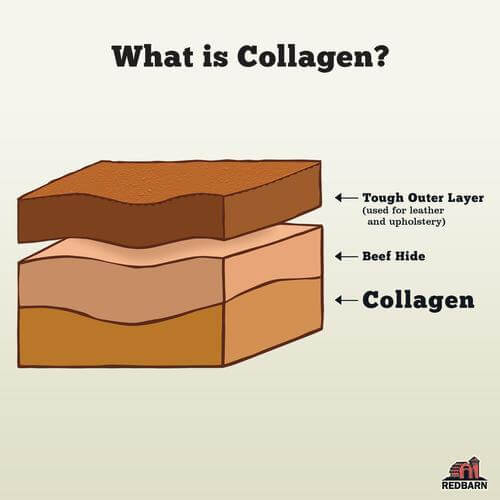 Bully Wrapped Collagen Stick - Image 3