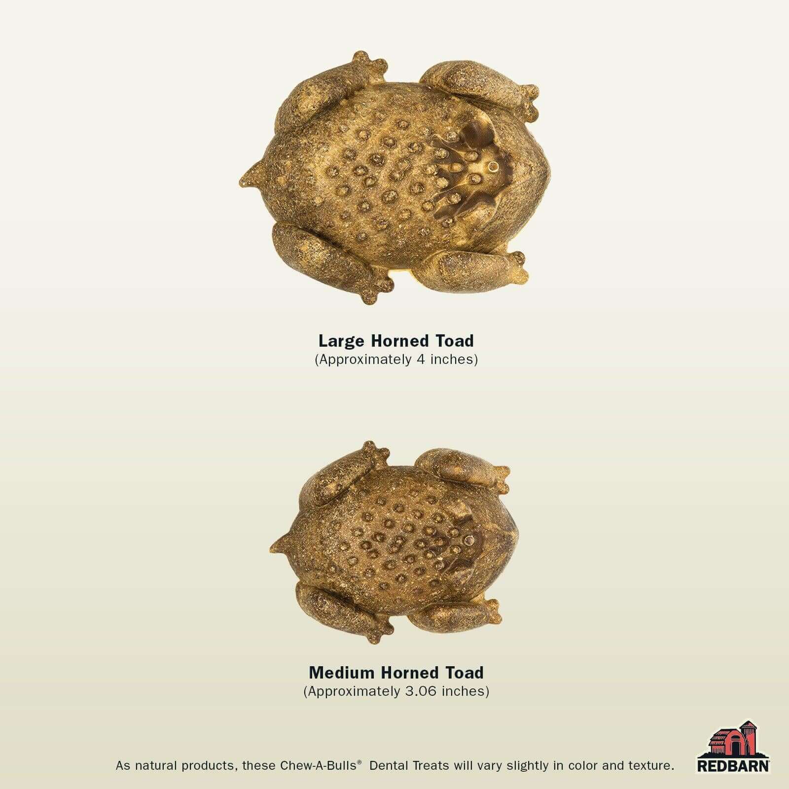 Chew-A-Bulls® Horned Toad - Image 3