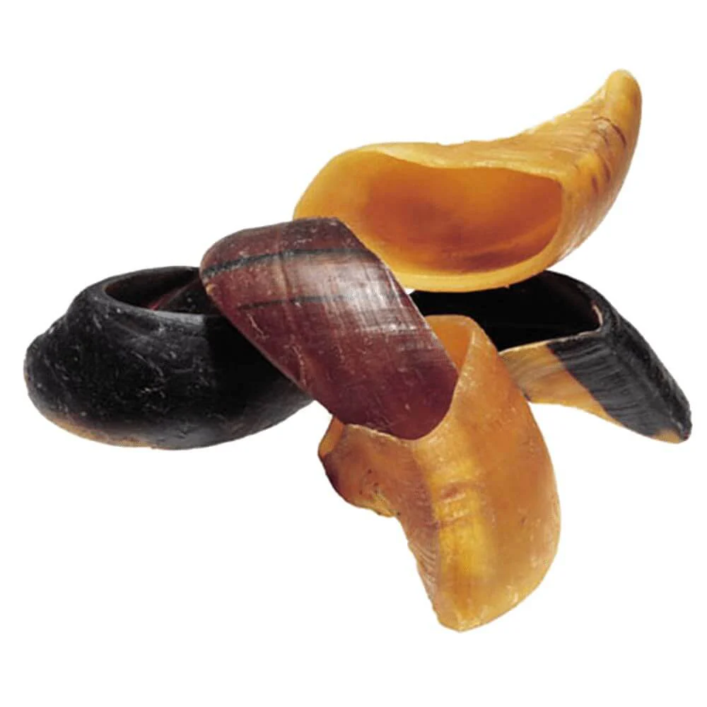 Cow Hoof - Image 3