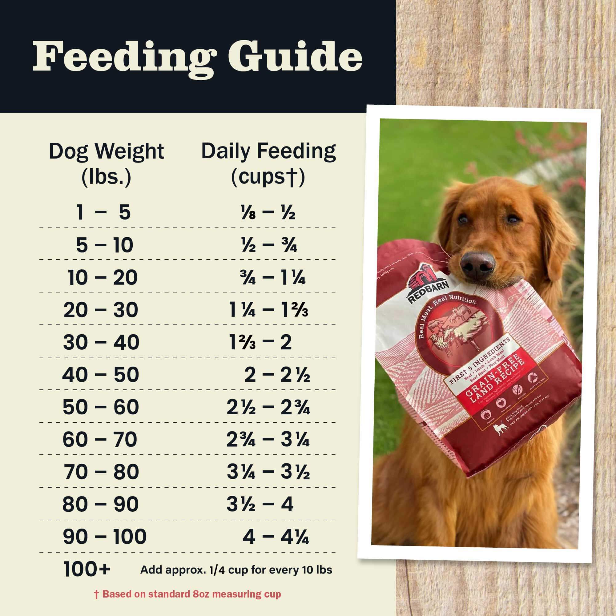 First-Five Kibble Grain-Free Land Recipe - Image 12