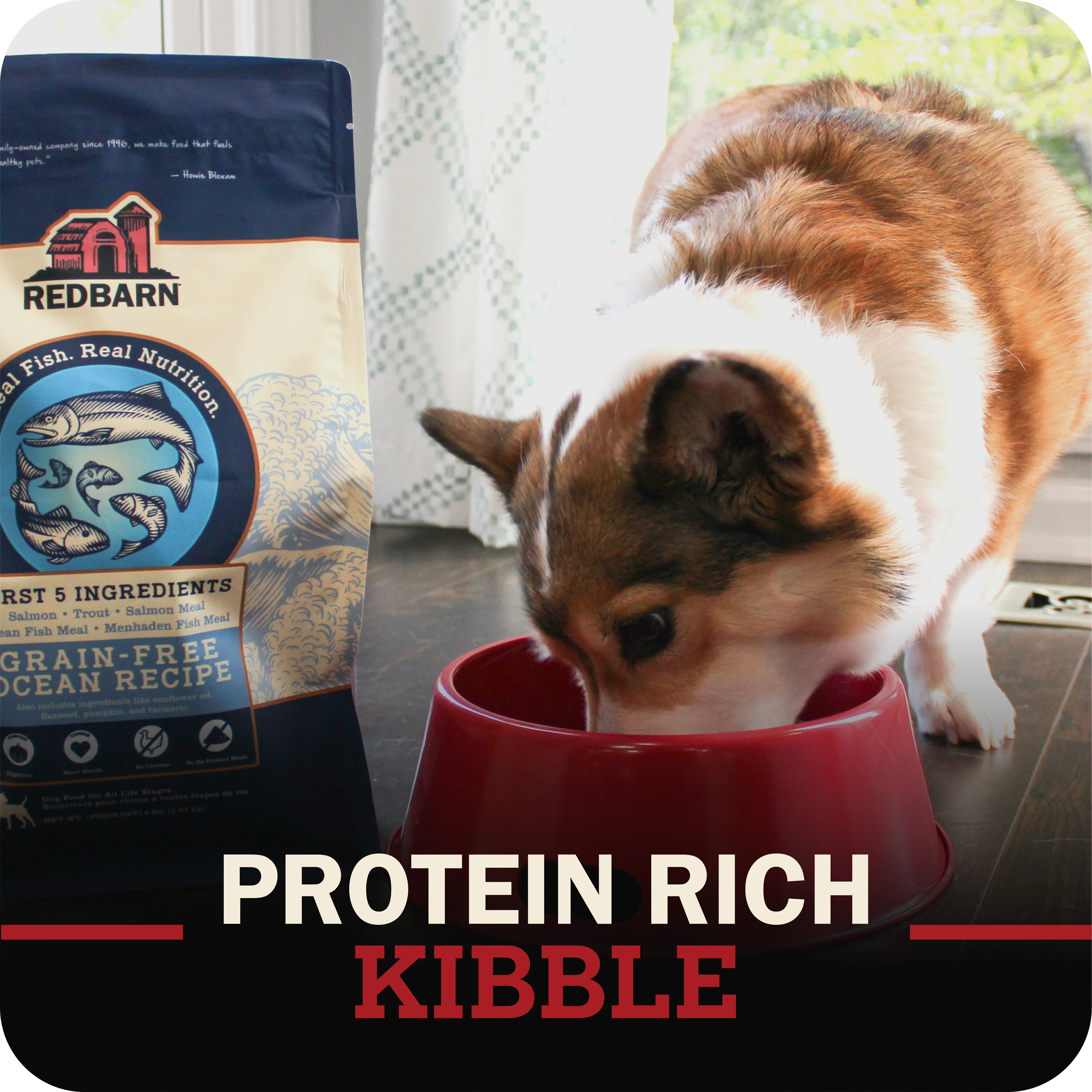 First-Five Kibble Grain-Free Land Recipe - Image 8