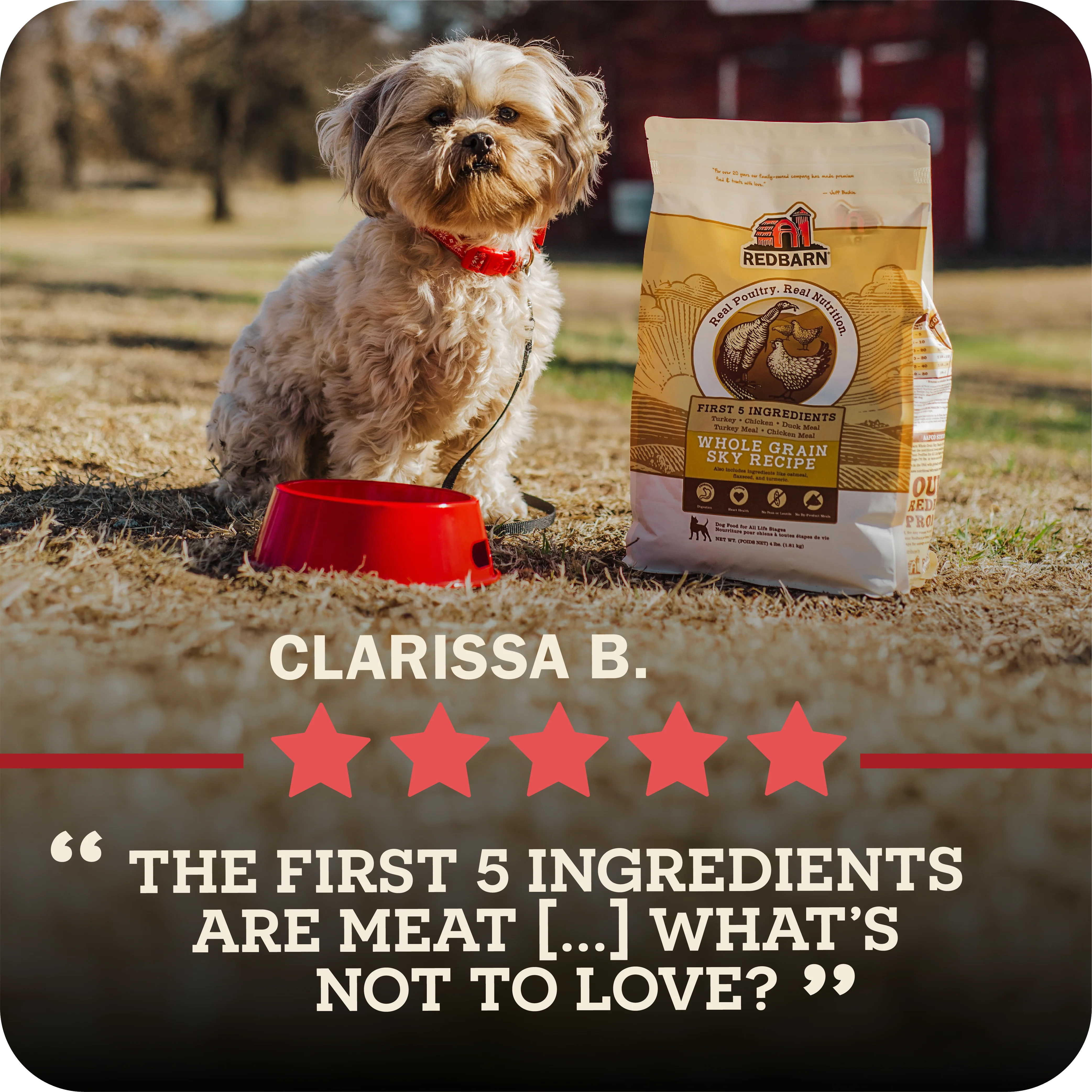 First-Five Kibble Grain-Free Land Recipe - Image 9
