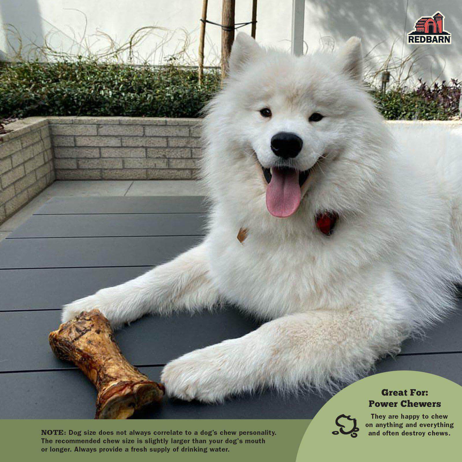 Meaty Bone - Image 4