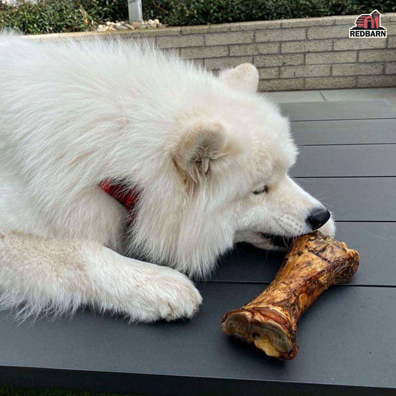 Meaty Bone - Image 5